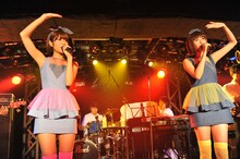 バニラビーンズ