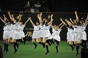 「ガールズルール」をパフォーマンスする乃木坂46。