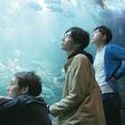 cero、約1年ぶり東京ワンマンは六本木2DAYS