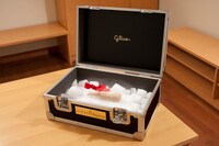 半分こしたパピコ画像。