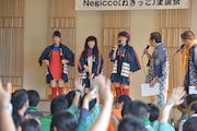 法被姿で登場したNegicco。