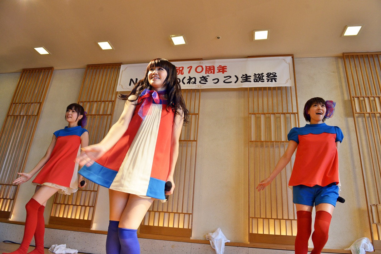 Negicco