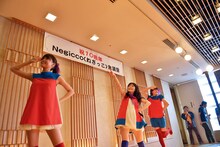 Negicco