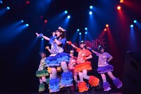 チームしゃちほこ