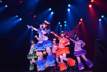 チームしゃちほこ