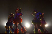 チームしゃちほこ