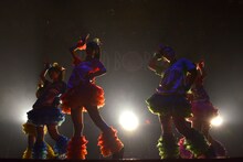 チームしゃちほこ