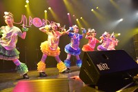 チームしゃちほこ