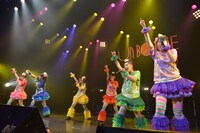 チームしゃちほこ