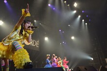 チームしゃちほこ