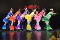 チームしゃちほこ