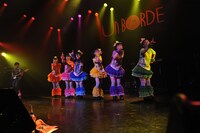 チームしゃちほこ