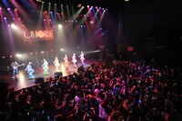 チームしゃちほこ