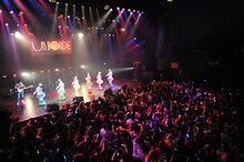 チームしゃちほこ