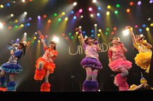 チームしゃちほこ