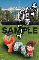 チームしゃちほこ「ワールドプレミアム残暑見舞いポストカード」秋本帆華バージョン（アメリカ）