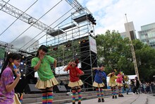 チームしゃちほこ