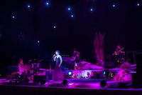 「柴田淳 CONCERT TOUR 2013 月夜PARTY vol.4」東京・Bunkamuraオーチャードホール公演の様子。