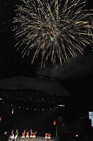 夜空を彩る打ち上げ花火。