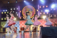 チームしゃちほこ