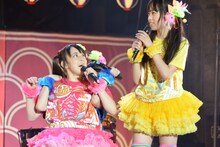 「しゃちほこ三者面談」の模様。