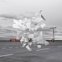 WHITE ASH「Crowds」ジャケット
