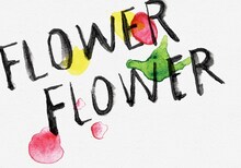 FLOWER FLOWER