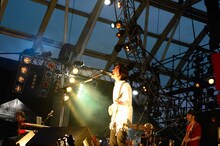 ストレイテナー