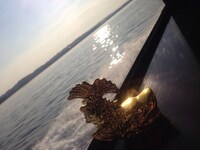 夕日を浴びる金のしゃちほこ。