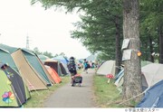 キャンプサイト