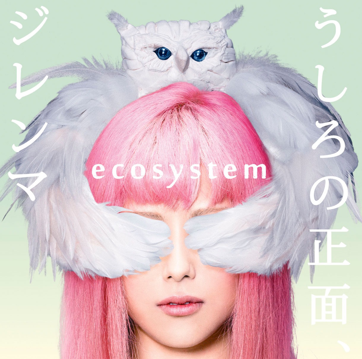 ecosystem「うしろの正面、ジレンマ」通常盤ジャケット