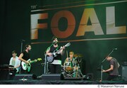 FOALS