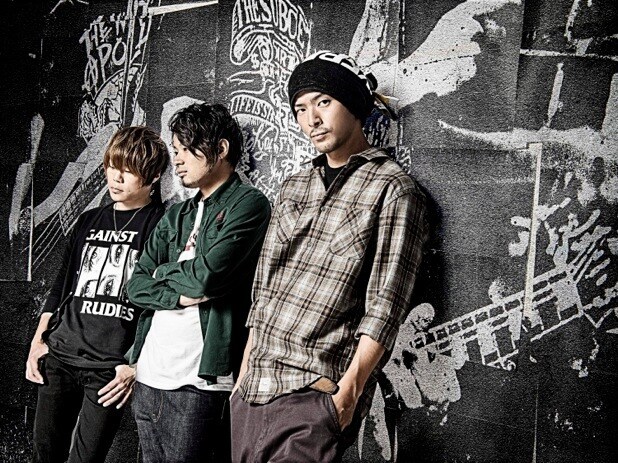 BUZZ THE BEARS CDセット｜CD