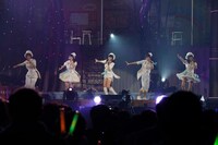 「チョコの行方」の様子。 (c)AKS