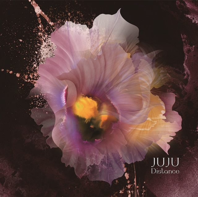 JUJU「Distance」ジャケット