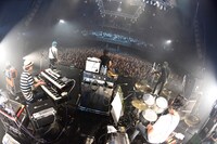 the HIATUS（撮影：橋本塁）