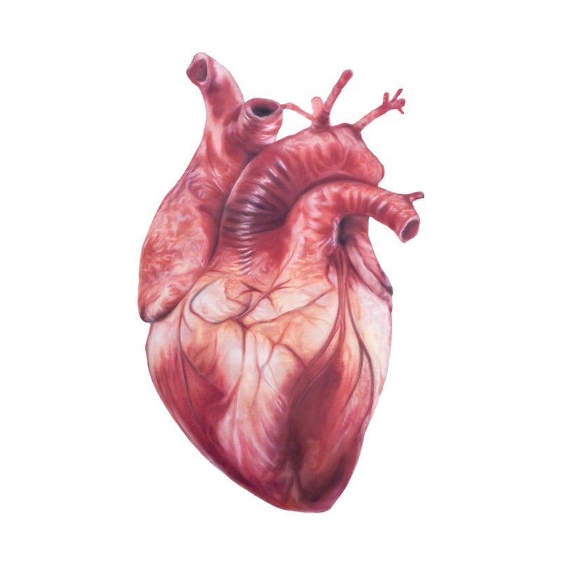 kamomekamome「BEDSIDE DONORS」ジャケット