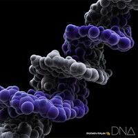 MONKEY MAJIK「DNA」CD＋Blu-ray盤ジャケット