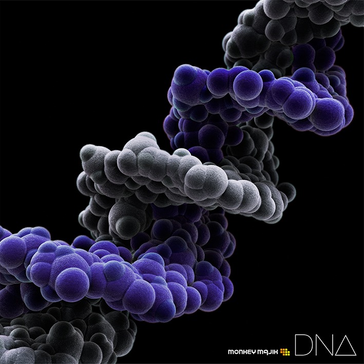 MONKEY MAJIK「DNA」CD＋Blu-ray盤ジャケット