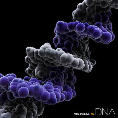 MONKEY MAJIK「DNA」CD＋Blu-ray盤ジャケット