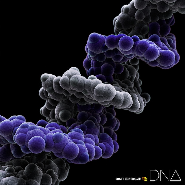 MONKEY MAJIK「DNA」CD＋Blu-ray盤ジャケット