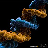 MONKEY MAJIK「DNA」CD＋DVD盤ジャケット