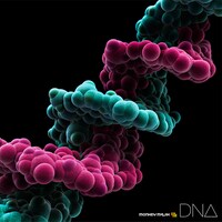 MONKEY MAJIK「DNA」ジャケット