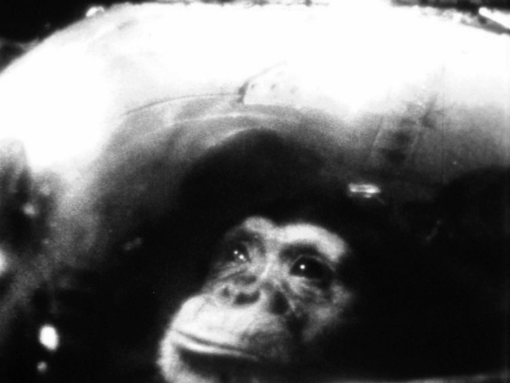 Typingmonkeys