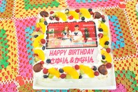 番組スタッフが用意したバースデーケーキ。