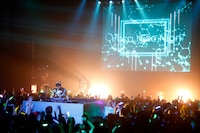 八王子P（撮影：本田裕二、木村泰之）