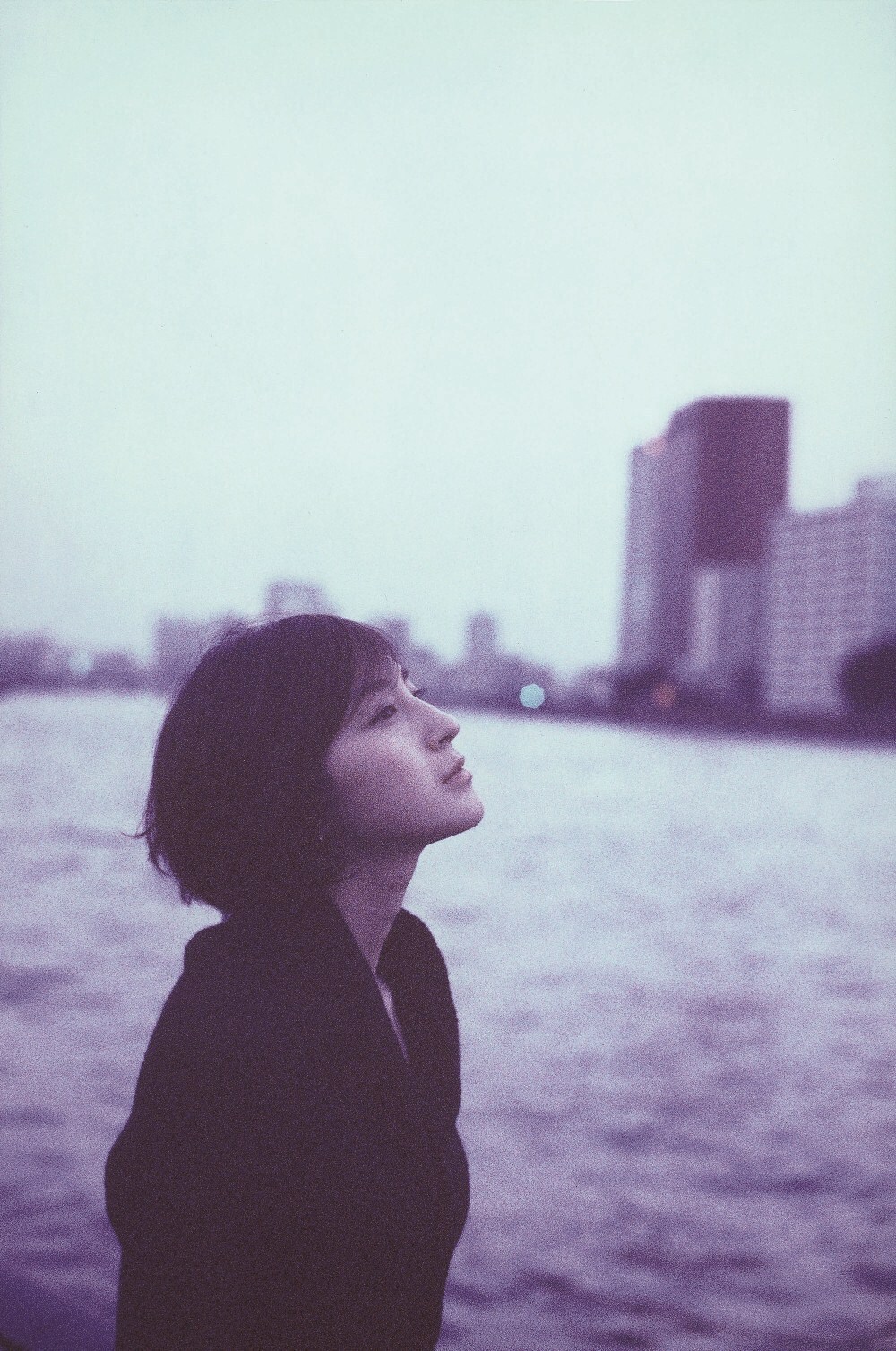 広末涼子 - 武道館ライブ＋全PVが初DVD化、広末涼子シングル集DX