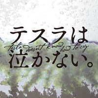 テスラは泣かない。「Anderson」ジャケット