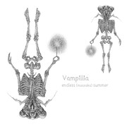 Vampilliaの新曲でツジコノリコ、真部脩一がボーカル担当