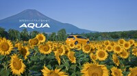 TOYOTA「AQUA」CMのワンシーン。